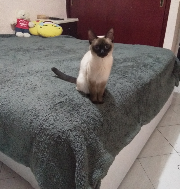 Claudia B - | Hotel en Casa | CDMX | Petzer
