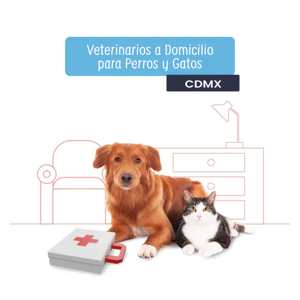 Copia de Seguimiento Veterinario Integral: Consulta a Domicilio para Perros y Gatos