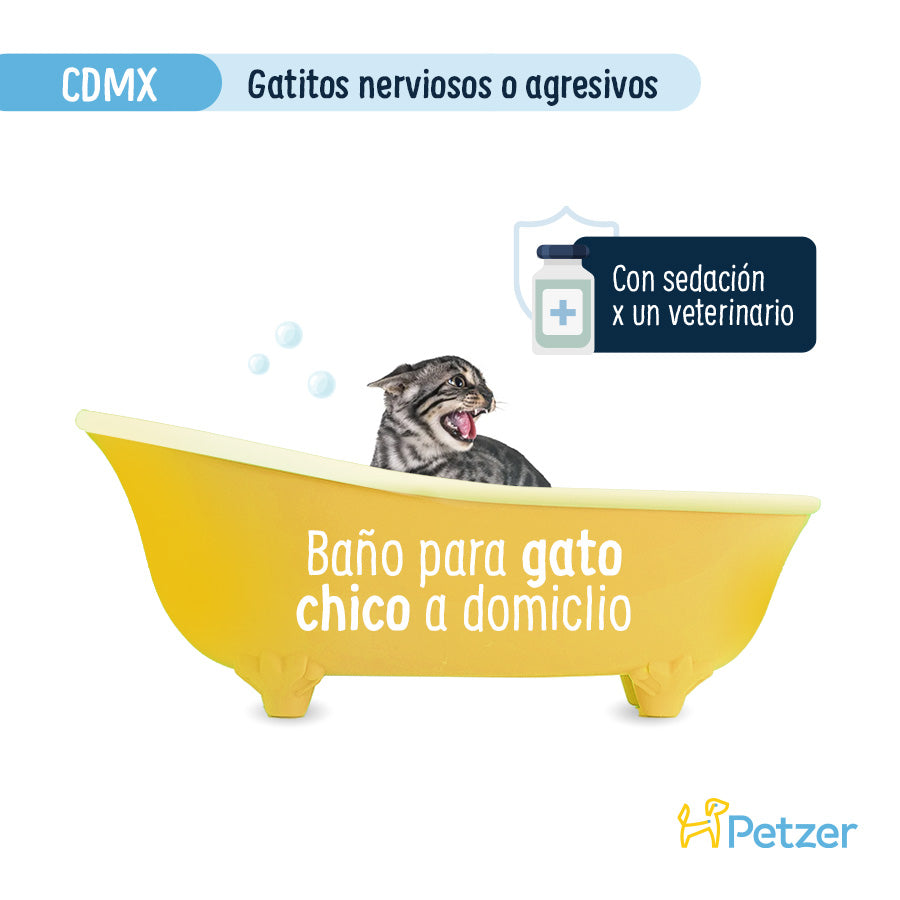 Baño a Domicilio para Gato Chico Nervioso o Agresivo CDMX | Servicio de estética a domicilio para mascotas | Petzer