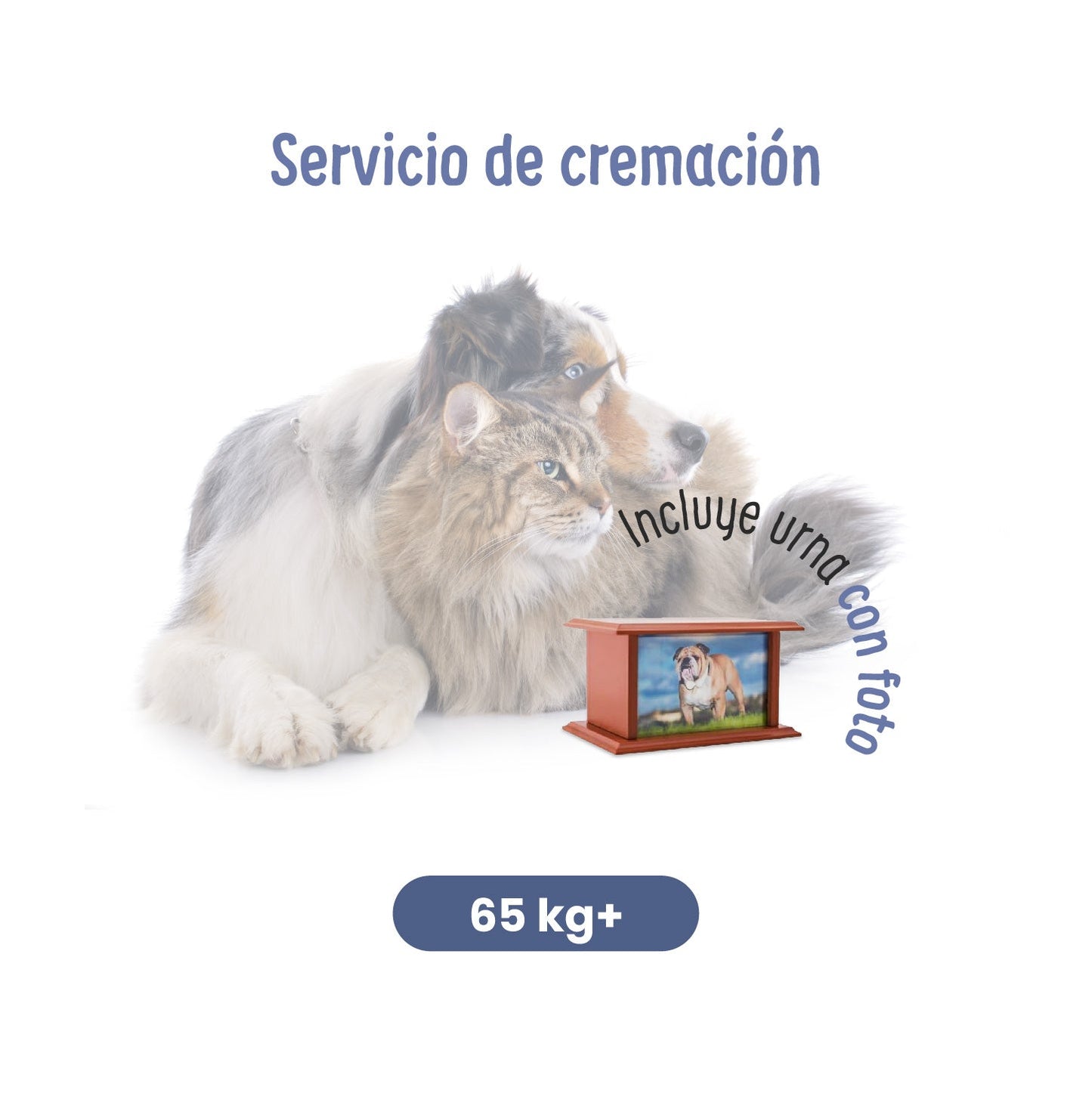 Servicios Funerarios para Mascotas | Servicio de Cremación | Petzer
