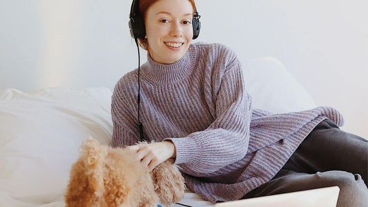 5 Beneficios de Contratar un Seguro para Perros