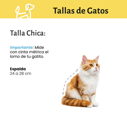 Baño y Corte de Pelo a Domicilio para Gatos Chicos | CDMX