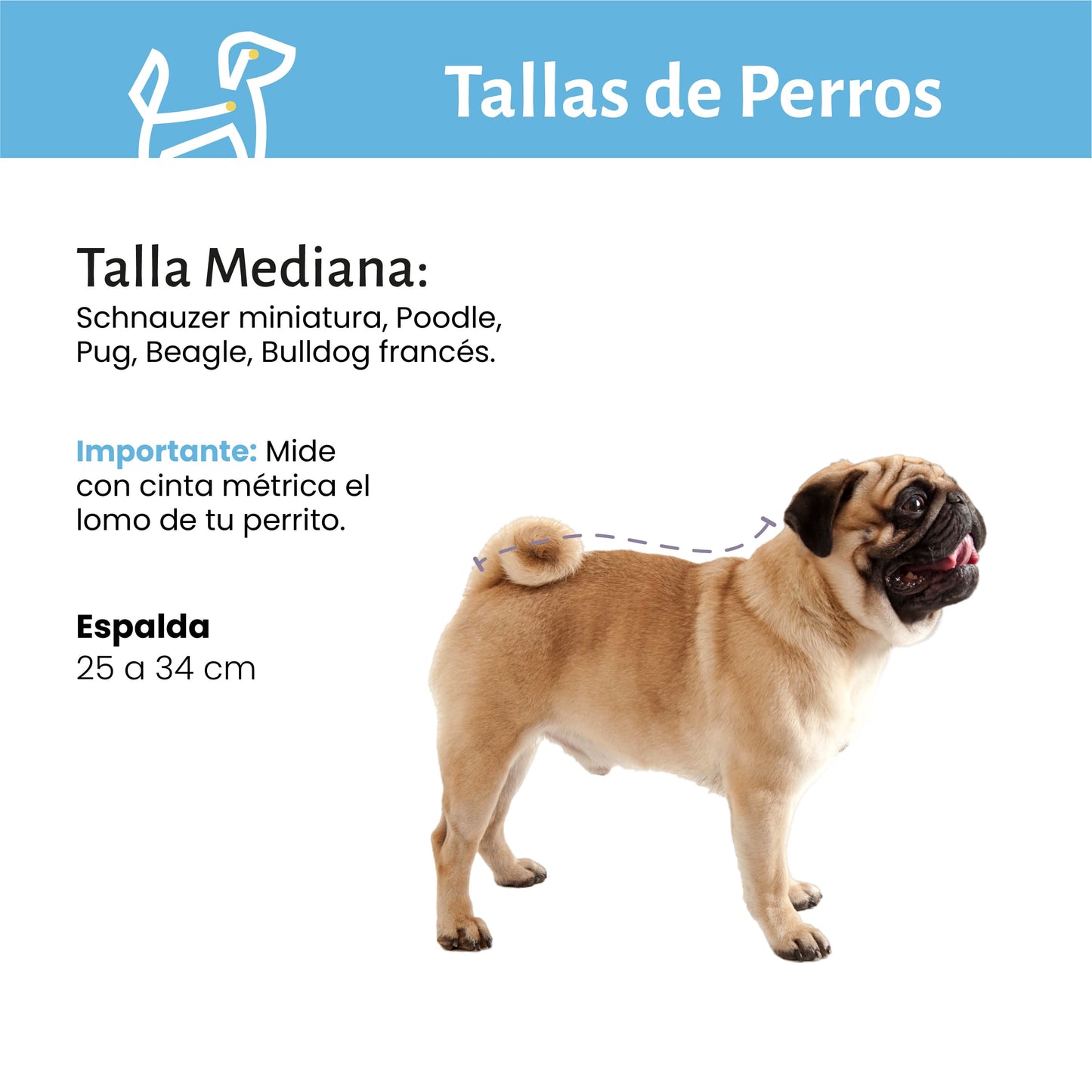 Baño y Corte de Pelo a Domicilio para Perros Medianos  CDMX