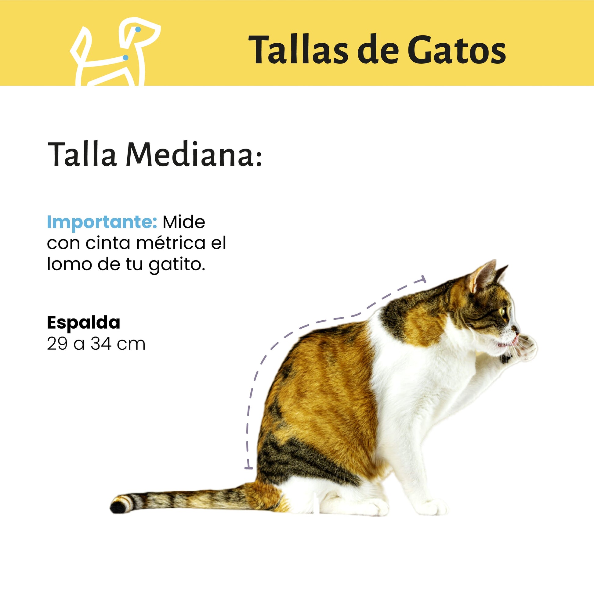 Baño y Deslanado a Domicilio para Gato Mediano  CDMX