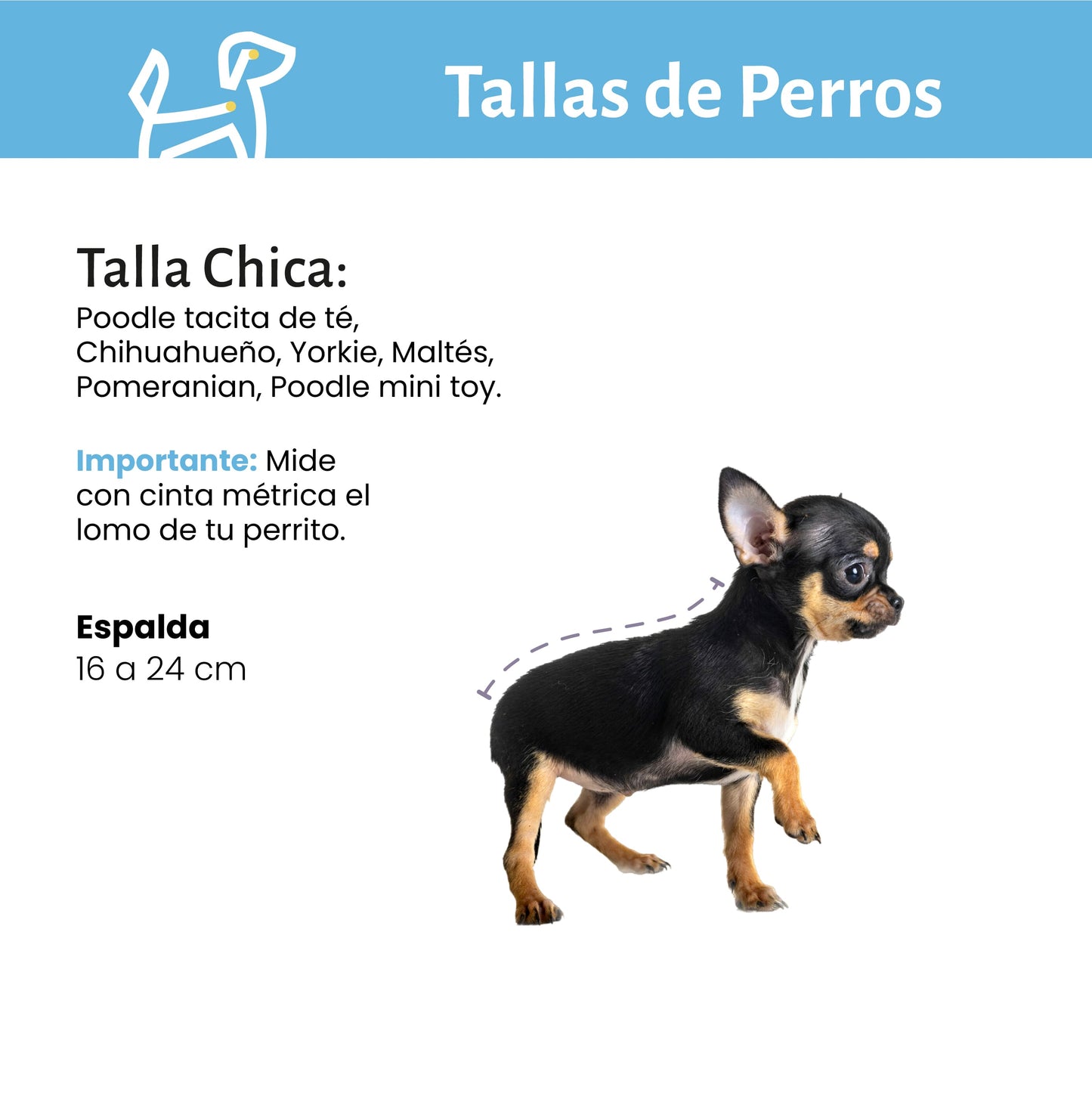 Baño y Deslanado a Domicilio para Perro Chico  CDMX