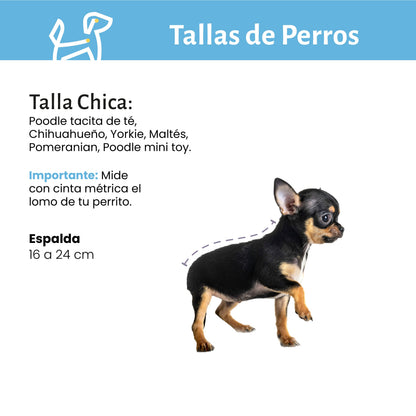 Baño y Deslanado a Domicilio para Perro Chico  CDMX