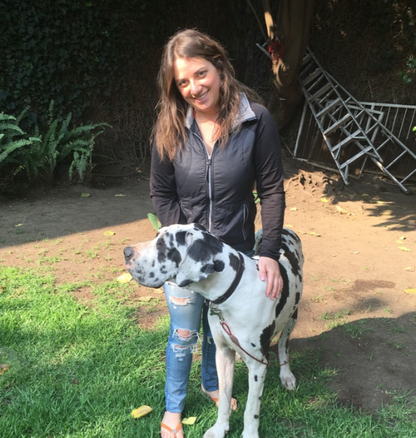 Christine C - | Hotel en Casa | CDMX | Petzer