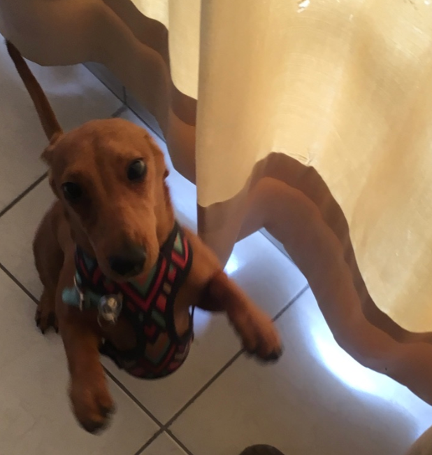 Christine C - | Hotel en Casa | CDMX | Petzer