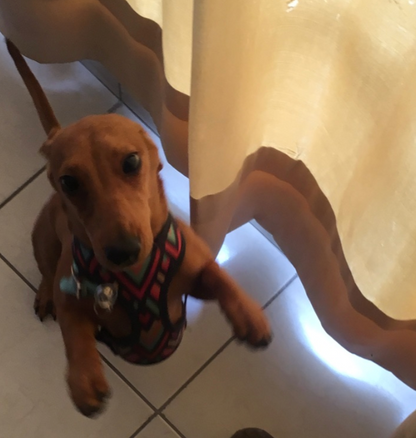 Christine C - | Hotel en Casa | CDMX | Petzer
