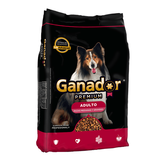 Croqueta Perro Adulto Ganador Premium 4 kg