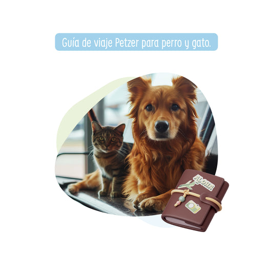 Guía de Viaje Personalizada Petzer para Perro y Gato