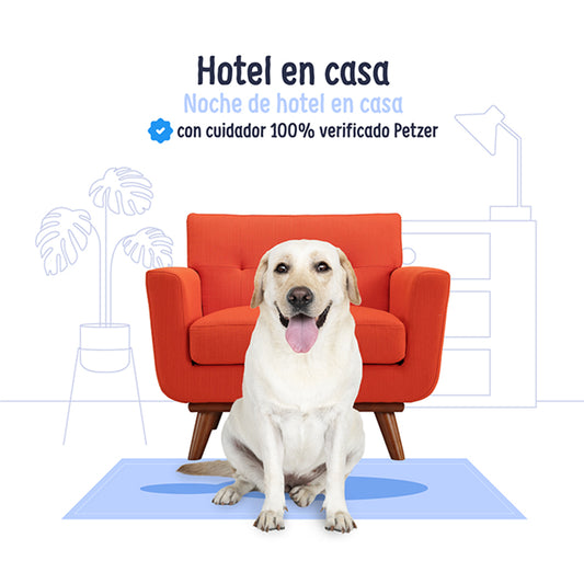 Hotel en Casa con Cuidador 100% verificado | Petzer