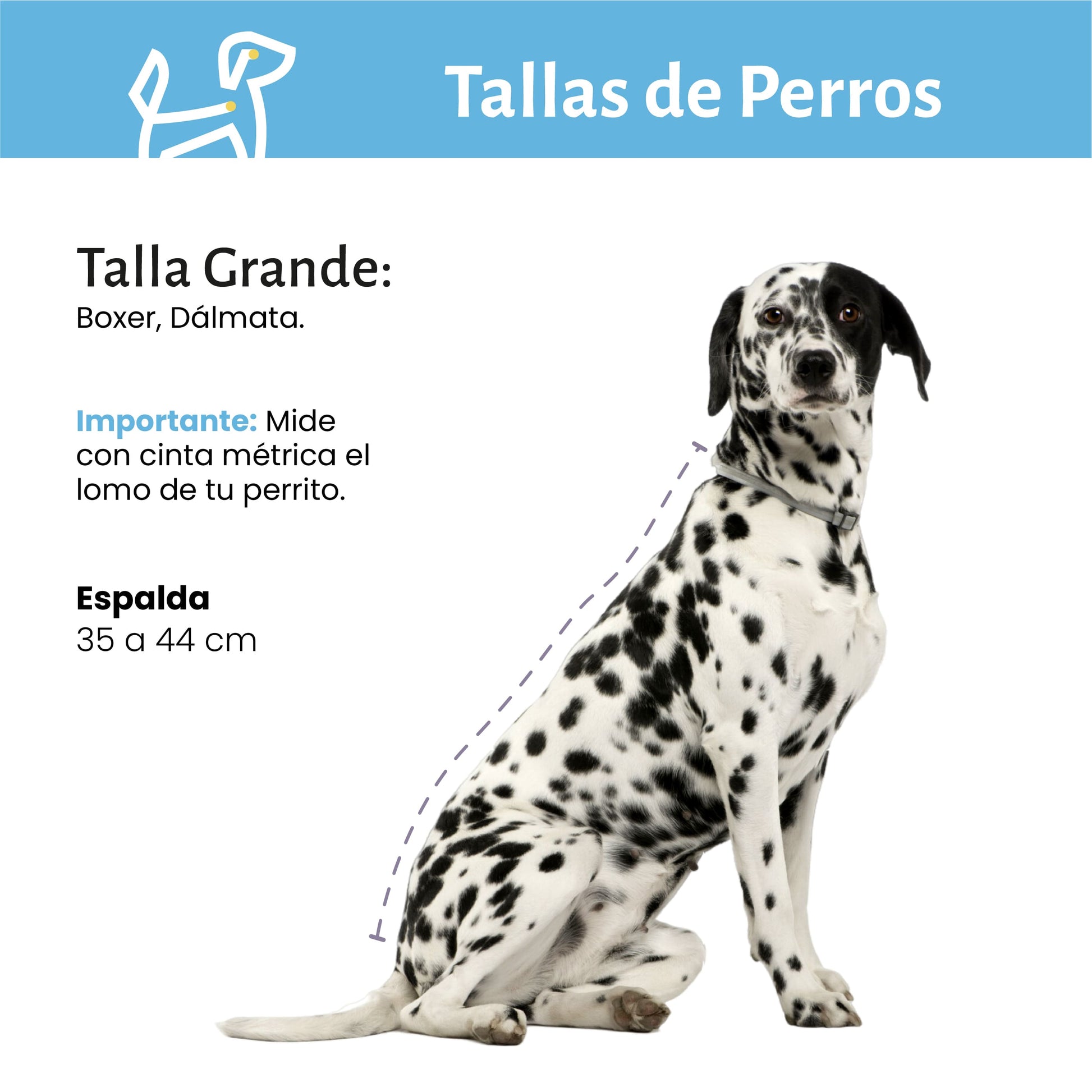 Sedación para Procedimiento Médico para Perro o Gato Talla Grande