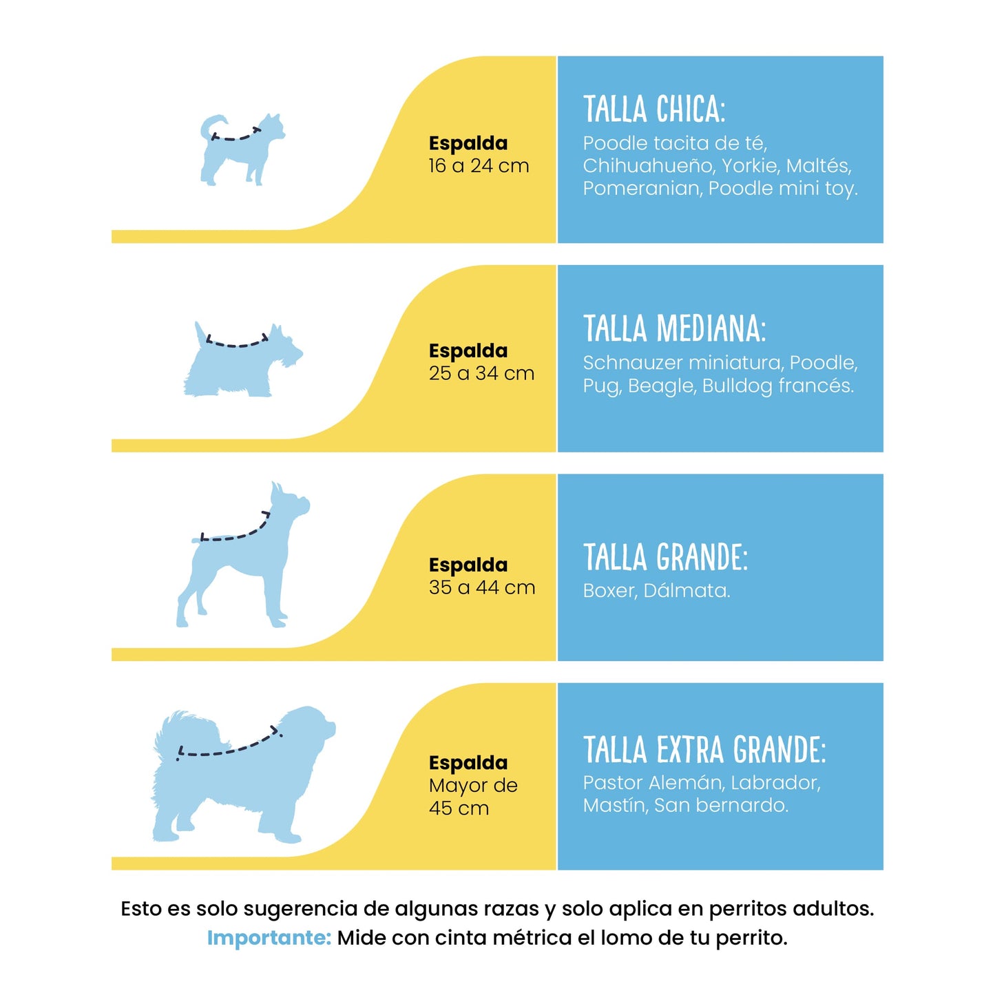 Profilaxis Dental a Domicilio para Perro