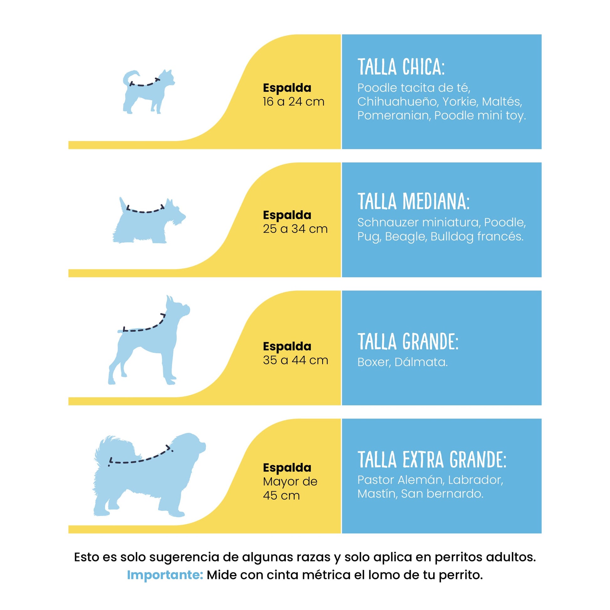 Profilaxis Dental a Domicilio para Perro