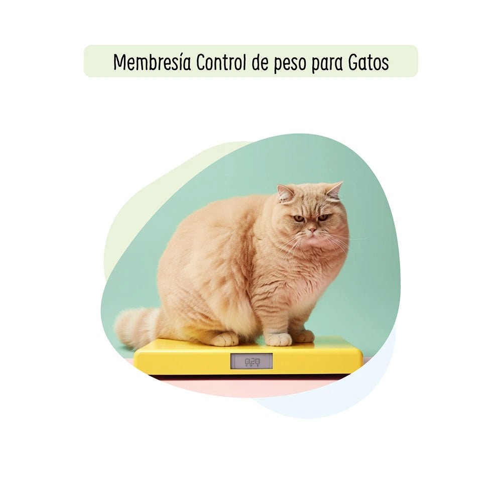 Tratamiento Control de Peso para Gatos