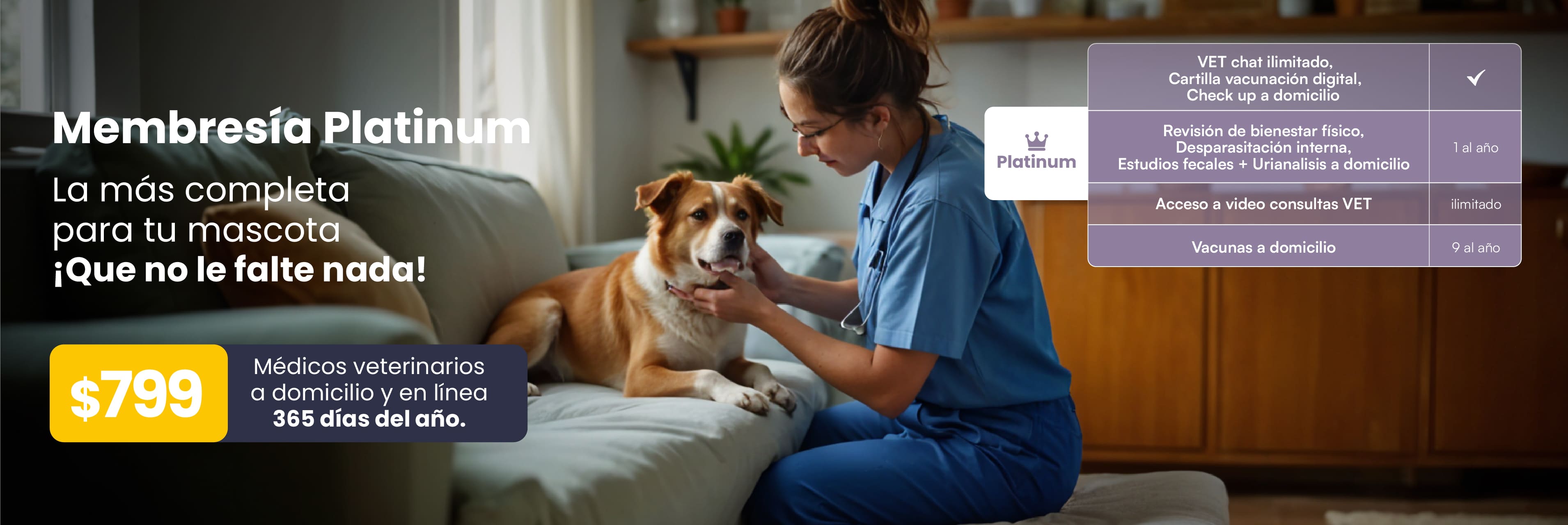Veterinario a Domicilio en CDMX, área metropolitana y Edomex
