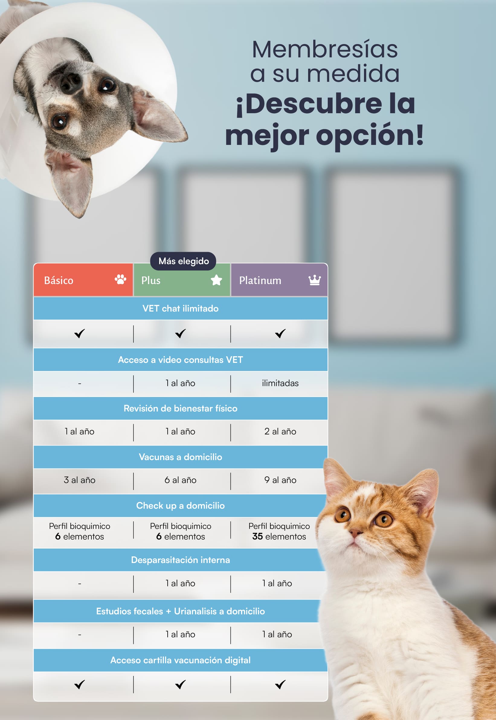 Veterinario a Domicilio en CDMX, área metropolitana y Edomex