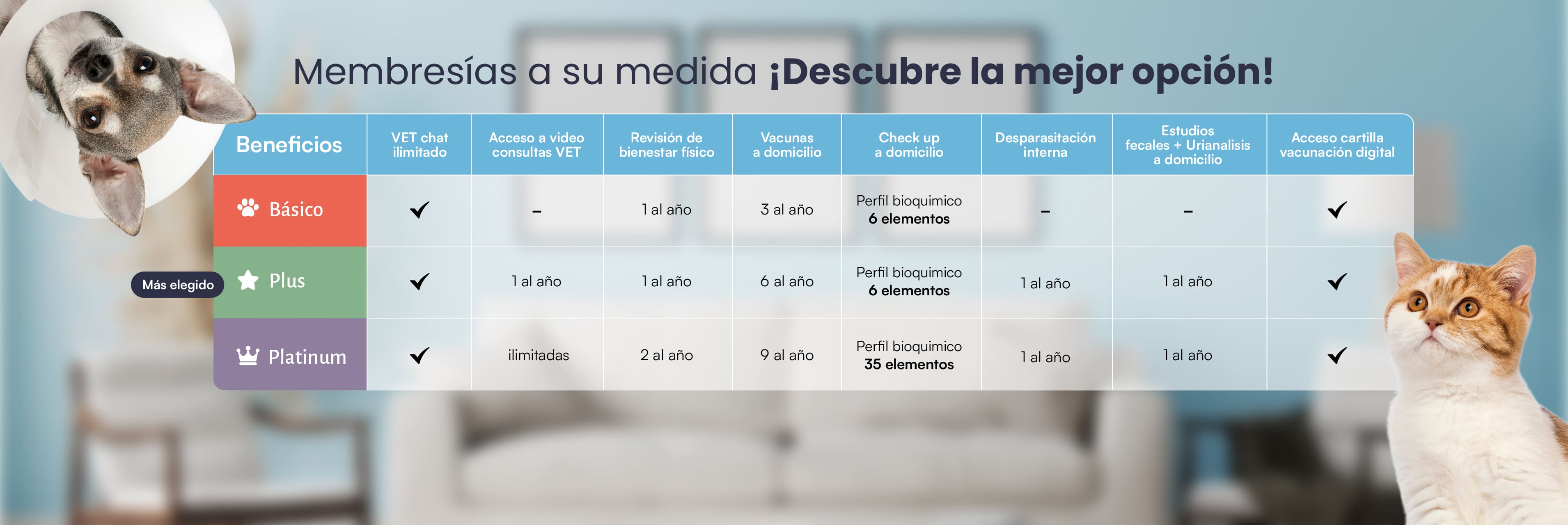 Veterinario a Domicilio en CDMX, área metropolitana y Edomex