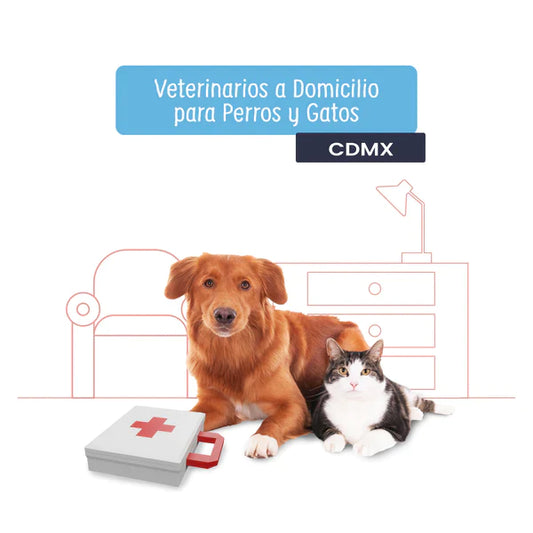 Copia de Seguimiento Veterinario Integral: Consulta a Domicilio para Perros y Gatos