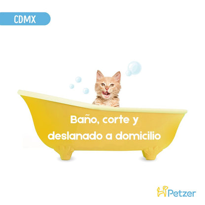 Baño, corte y deslanado para gato a domicilio en CDMX.