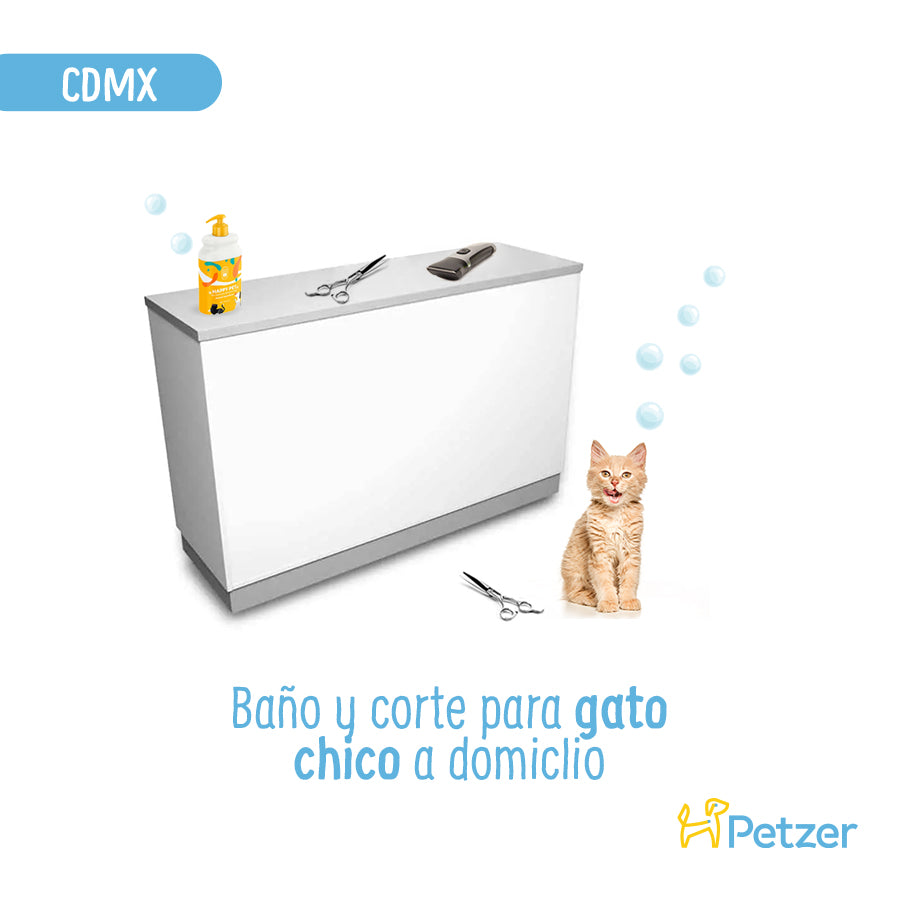 Baño y Corte de Pelo a Domicilio para Gatos Chicos | CDMX | Estilistas a domicilio | Petzer