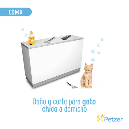 Baño y Corte de Pelo a Domicilio para Gatos Chicos | CDMX | Estilistas a domicilio | Petzer
