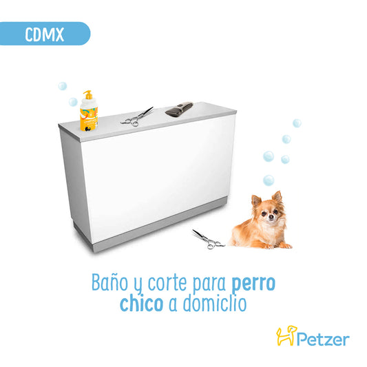 Baño y Corte de Pelo a Domicilio para Perros Chicos | CDMX | Estilistas a domicilio | Petzer
