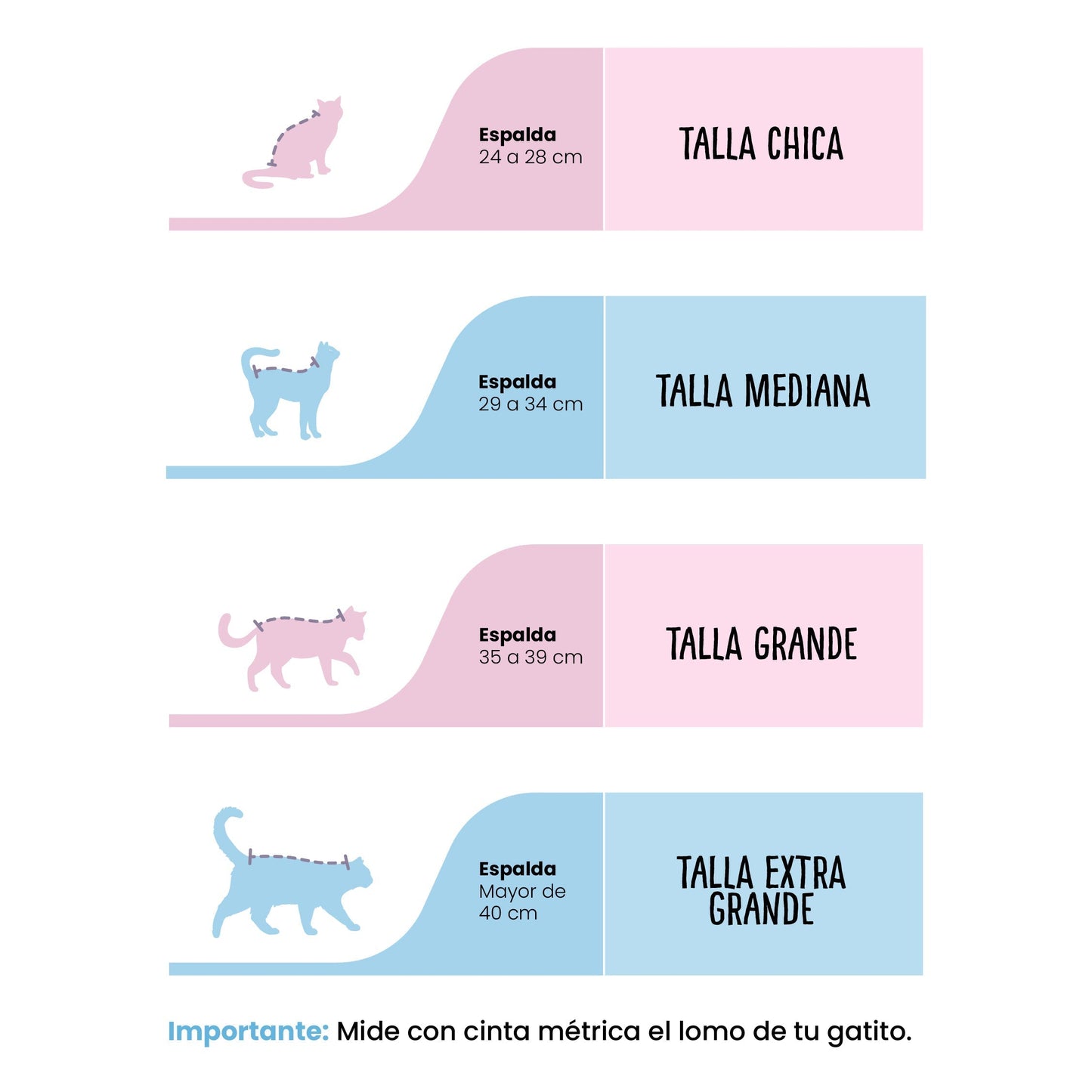 Baño a Domicilio para Gato Gigante Nervioso o Agresivo | CDMX