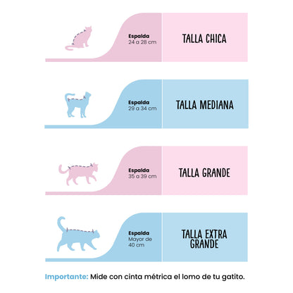 Baño, Corte y Deslanado para Gato Senior, Nervioso o Agresivo a Domicilio | CDMX