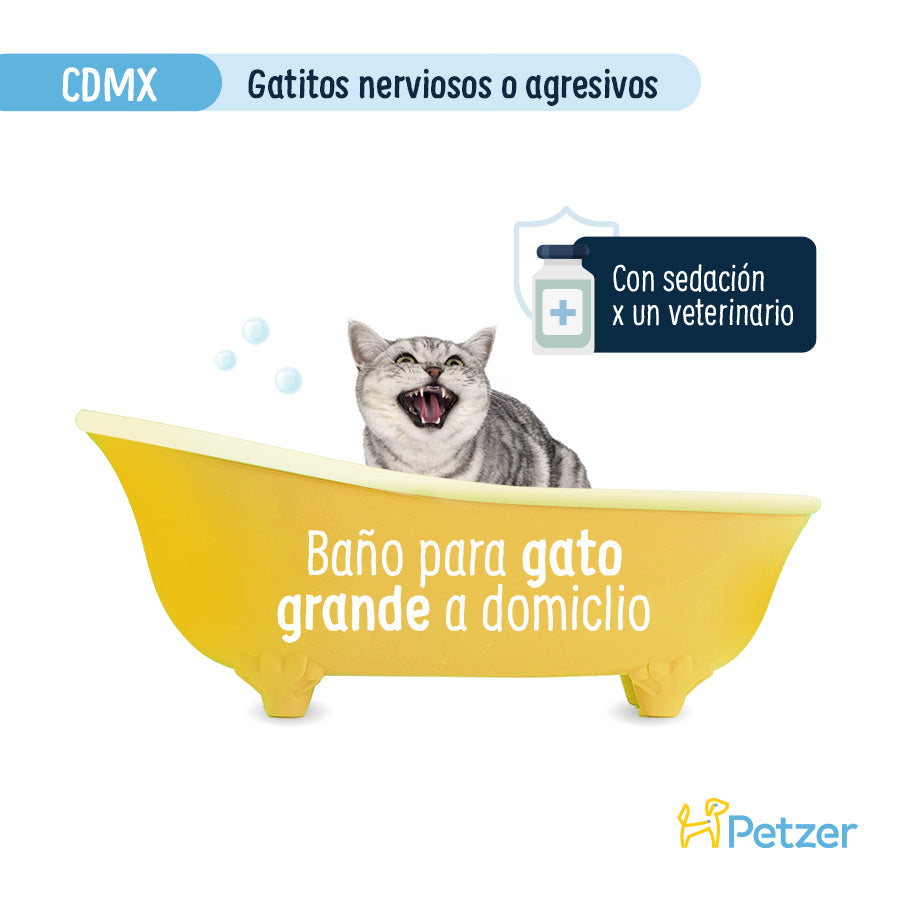 Baño a Domicilio para Gato Grande Nervioso o Agresivo CDMX | Servicio de estética a domicilio para mascotas | Petzer