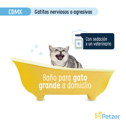 Baño a Domicilio para Gato Grande Nervioso o Agresivo CDMX | Servicio de estética a domicilio para mascotas | Petzer