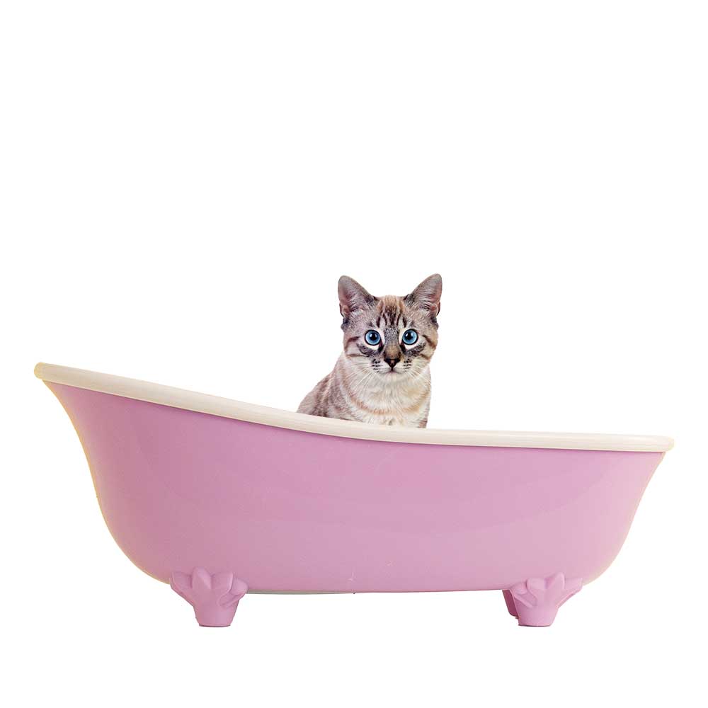 Petzer ALFA Membresía VIP para Gatos | Membresía para mascotas | Petzer