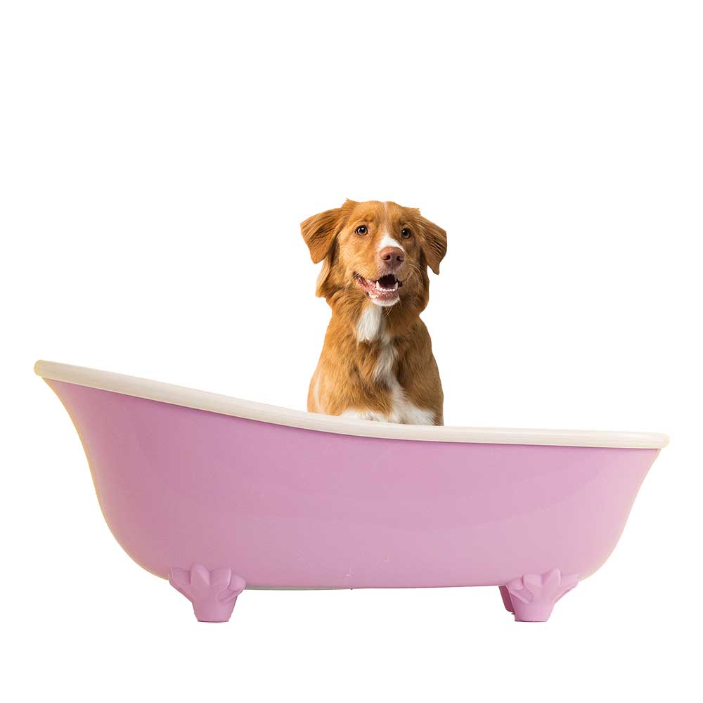 Membresía VIP Petzer ALFA para Perros Grandes | Membresía para mascotas | Petzer