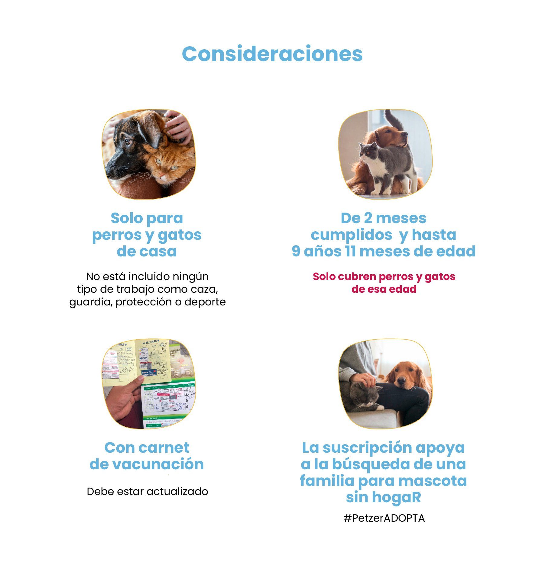 Petzer ALFA Membresía VIP para Gatos | Membresía para mascotas | Petzer
