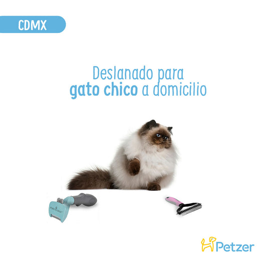 Baño y Deslanado a Domicilio para Gato Chico | Servicios de estética a domicilio para mascotas | Petzer