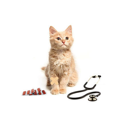 Petzer ALFA Membresía VIP para Gatos | Membresía para mascotas | Petzer