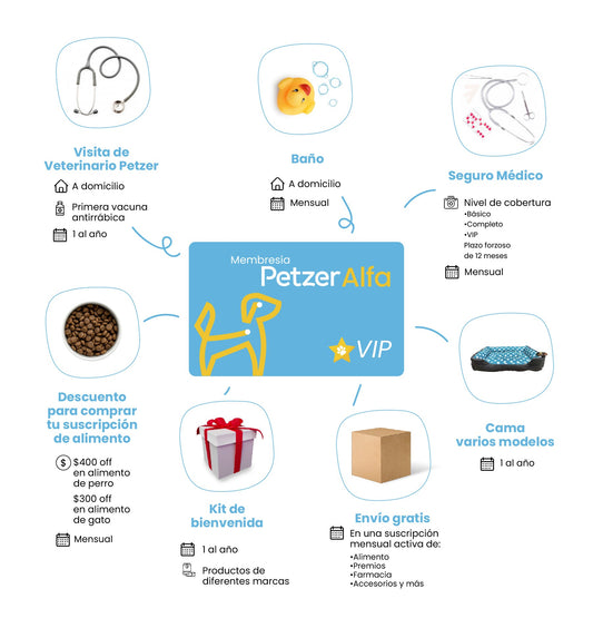 Petzer ALFA Membresía VIP para Perros Pequeños o Minis | Membresías para mascotas | Petzer