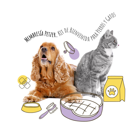 Membresía Petzer | Kit Bienvenida para Perros y Gatos | Petzer