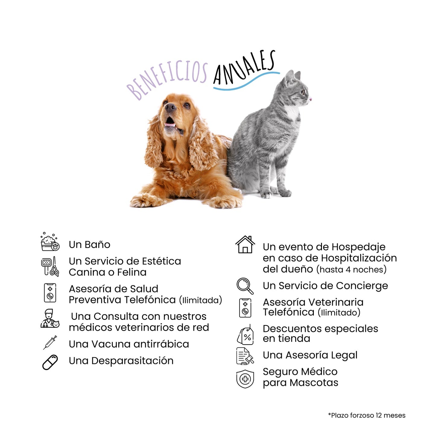Membresía Petzer | Kit Bienvenida para Perros y Gatos | Petzer