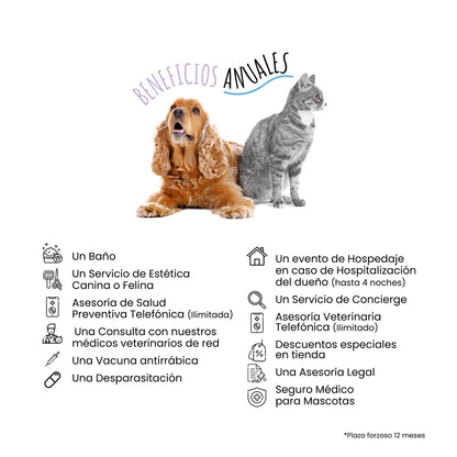 Membresía Petzer | Kit Bienvenida para Perros y Gatos | Petzer