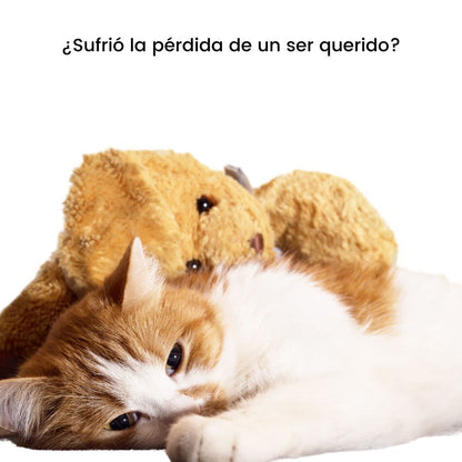 Entrenamiento Avanzado de Adiestramiento para Perros y Gatos a Domicilio en CDMX | 10 sesiones | Adiestradores & Etólogos | Petzer